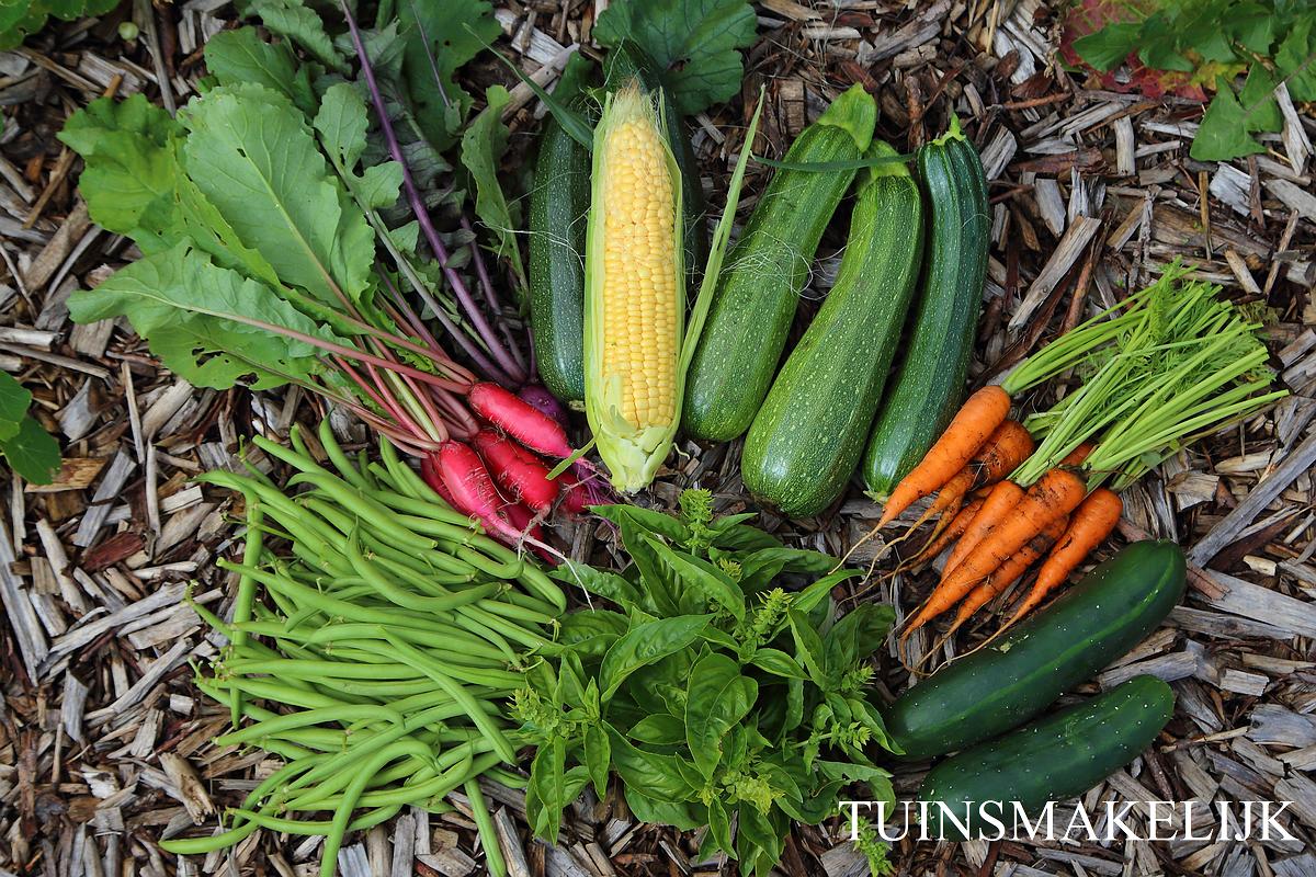 Permacultuur moestuin Tuin smakelijk!